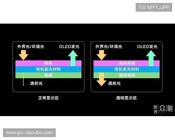 abg欧博官网abg客服支持与常见问题解决方案全面总结